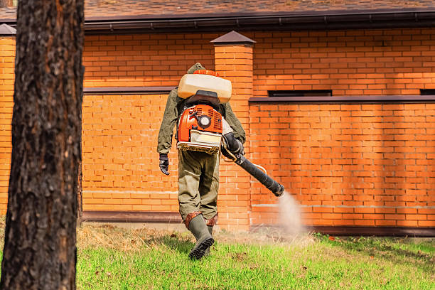 Bed Bug Clearance Verification and Documentation in Villa Park